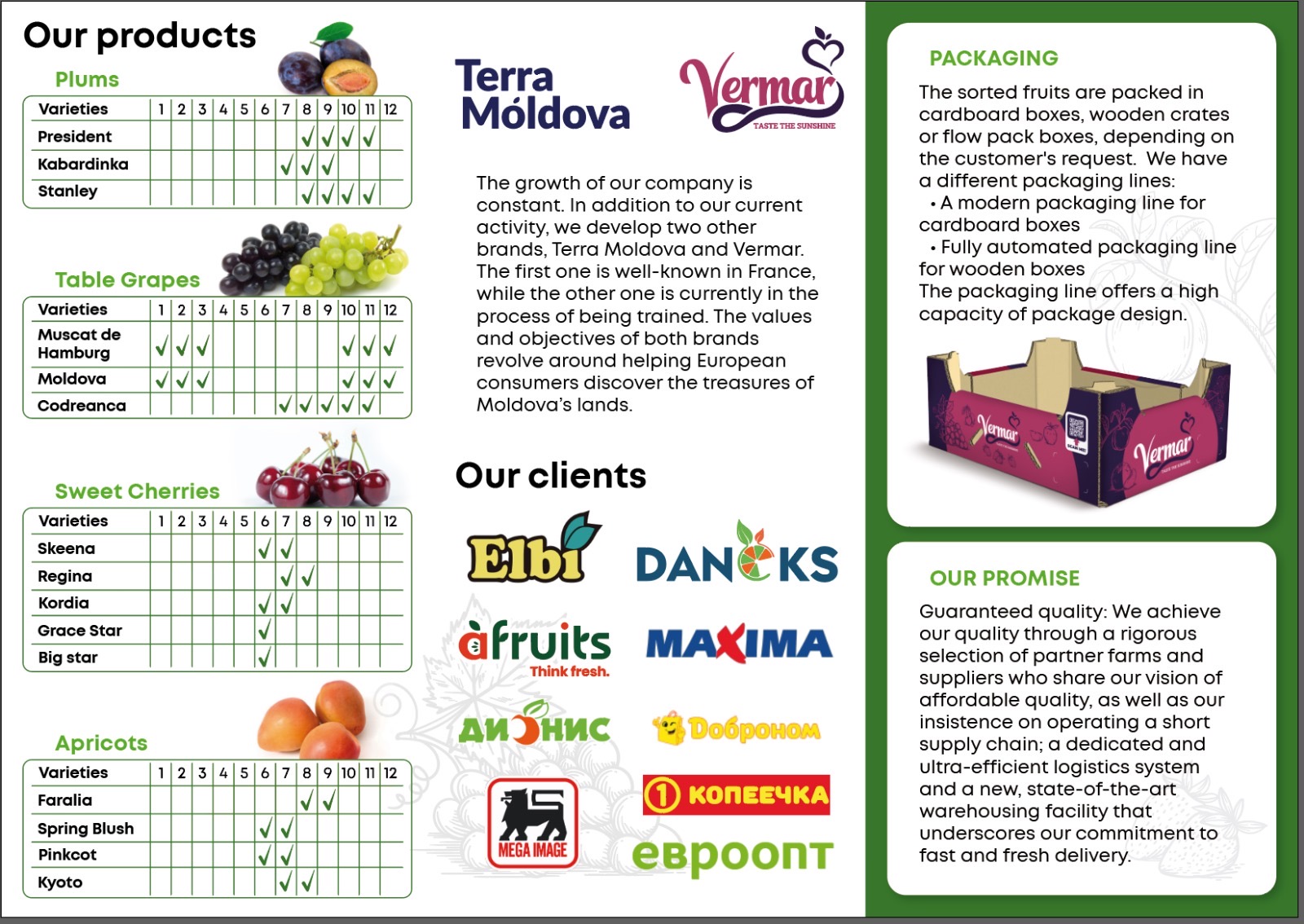 Livezi Terra Moldova